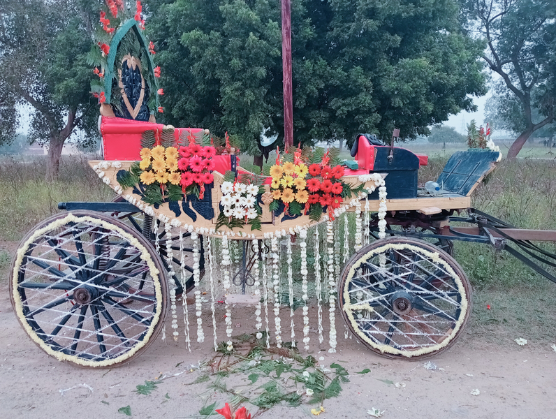 Cover photo of RJ Punjabi Band & Dhole Service